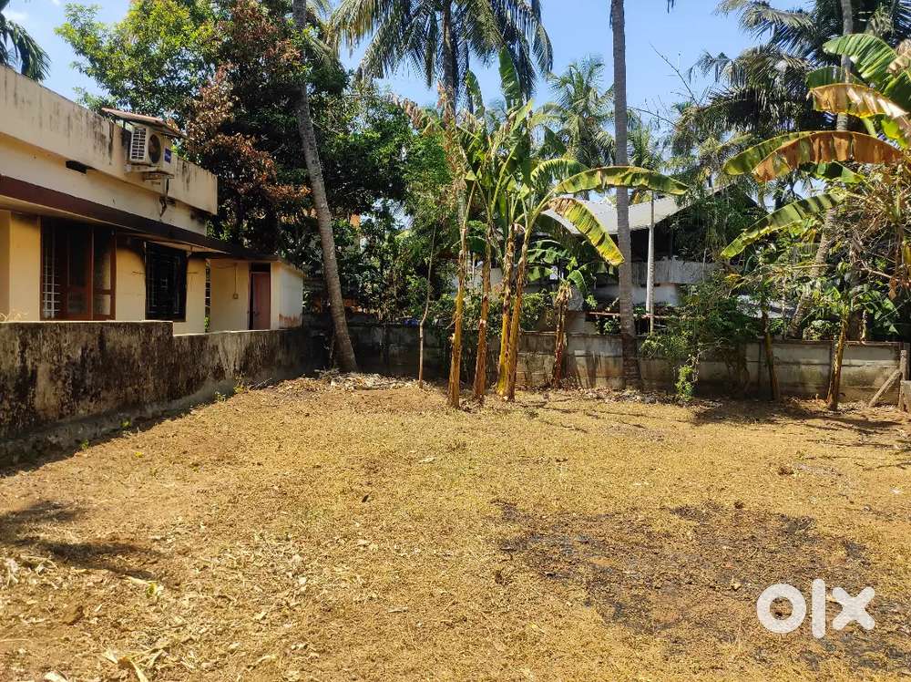 7 cent plot in a good residential area at Chelakkara