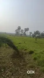 Farmland available for sale near D.H.Road Khariberia