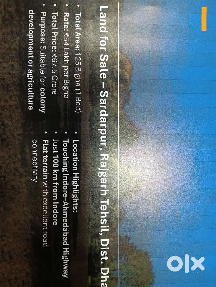 125 bigha (1 belt) Land for sale in Sardarpur, Rajgarh, Dhar, Indore