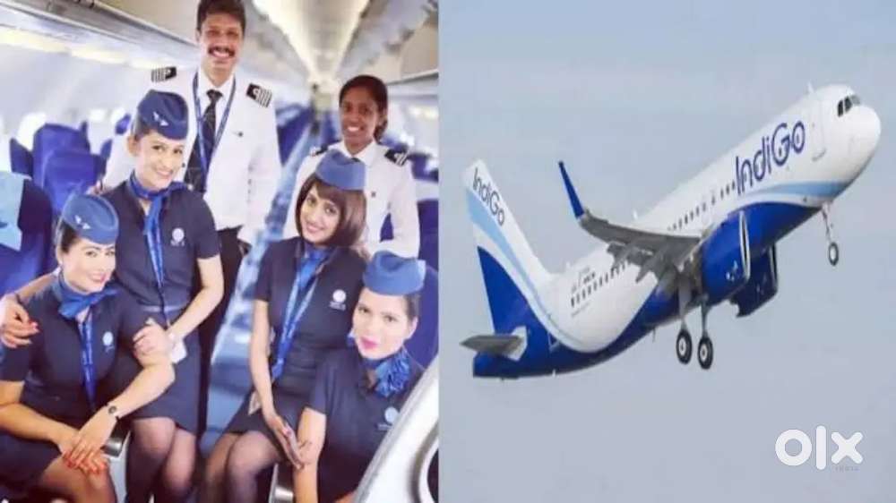 IndiGo Airlines Job-Airport Ground Staff & more.Male/Female Candidate