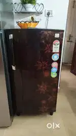 Fully Operational Godrej EDGE 4-Star Refrigerator