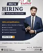 Loan Sales and collection Job