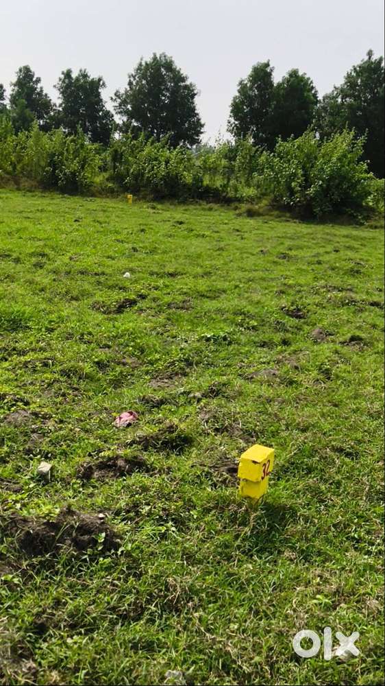 connect amravathi plot through kanchikacherla chevitiallu plots