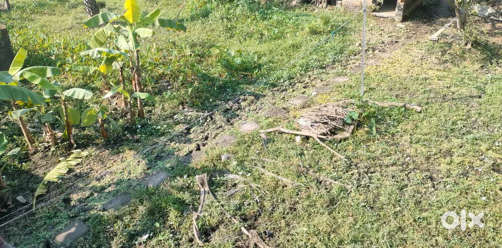 Dankuni Belanagar 2 katah Land