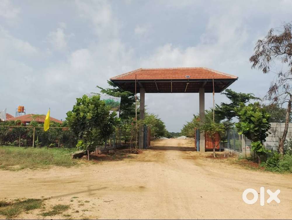 Hills and Lake Views