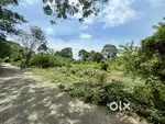 9 cents plot (parambu) in Kannadi-Tharuvakkurissi road