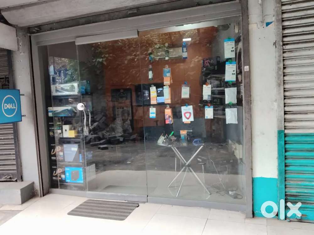 Glass door and partition