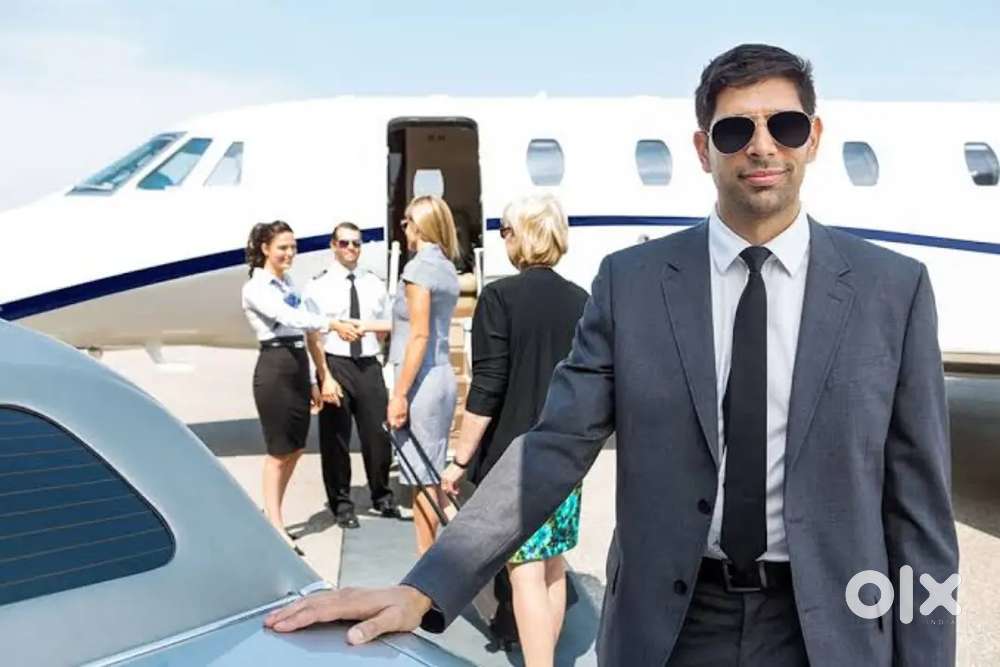 Fresher/Experience all candidates hiring Airport ground staff job