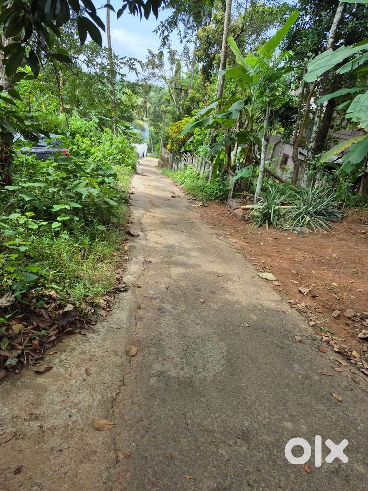 12 cent housing plot in Thiruvambadi