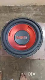 12 inch sub