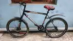 Cosmic comet 29 inch cycle