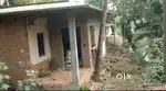 9cent land with old house 12lak only