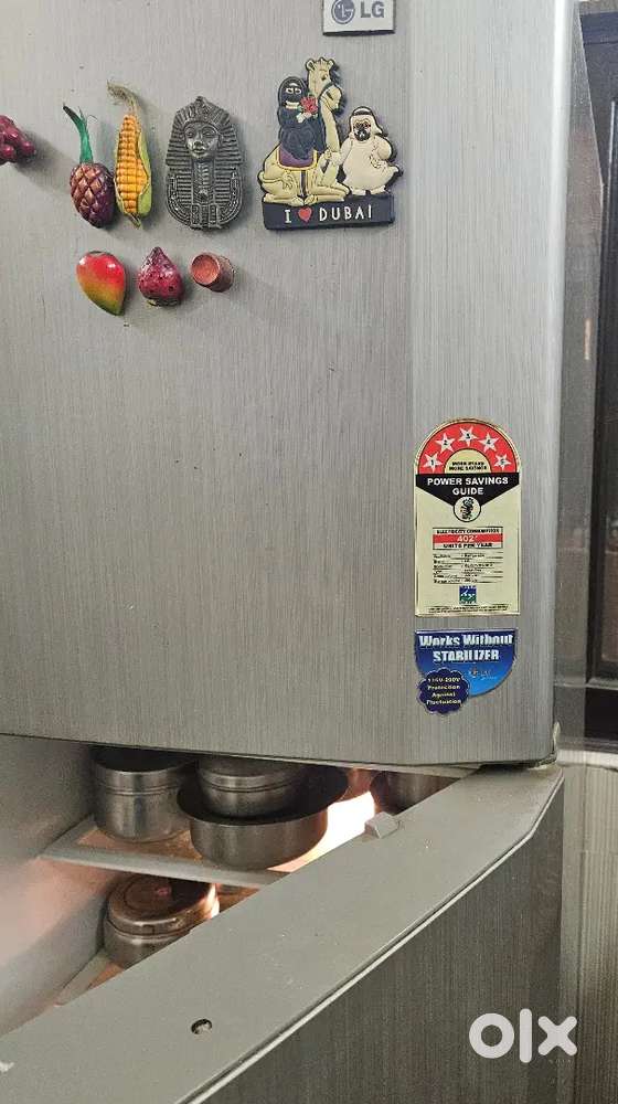 Lg 300 litre frost free fridge 2 door 2010 model