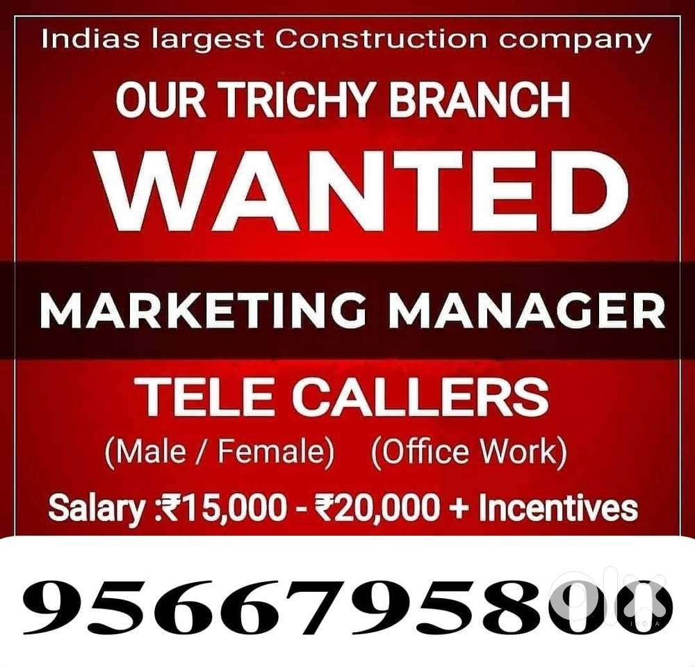Fresher and experience can both apply new branch in trichy
