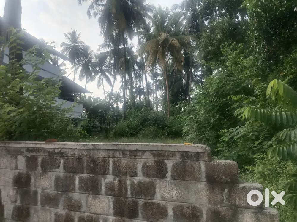 Thrissur kuttanallur highlight mall near 6 cent plot for sale
