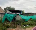 size of the plot is 50by 100