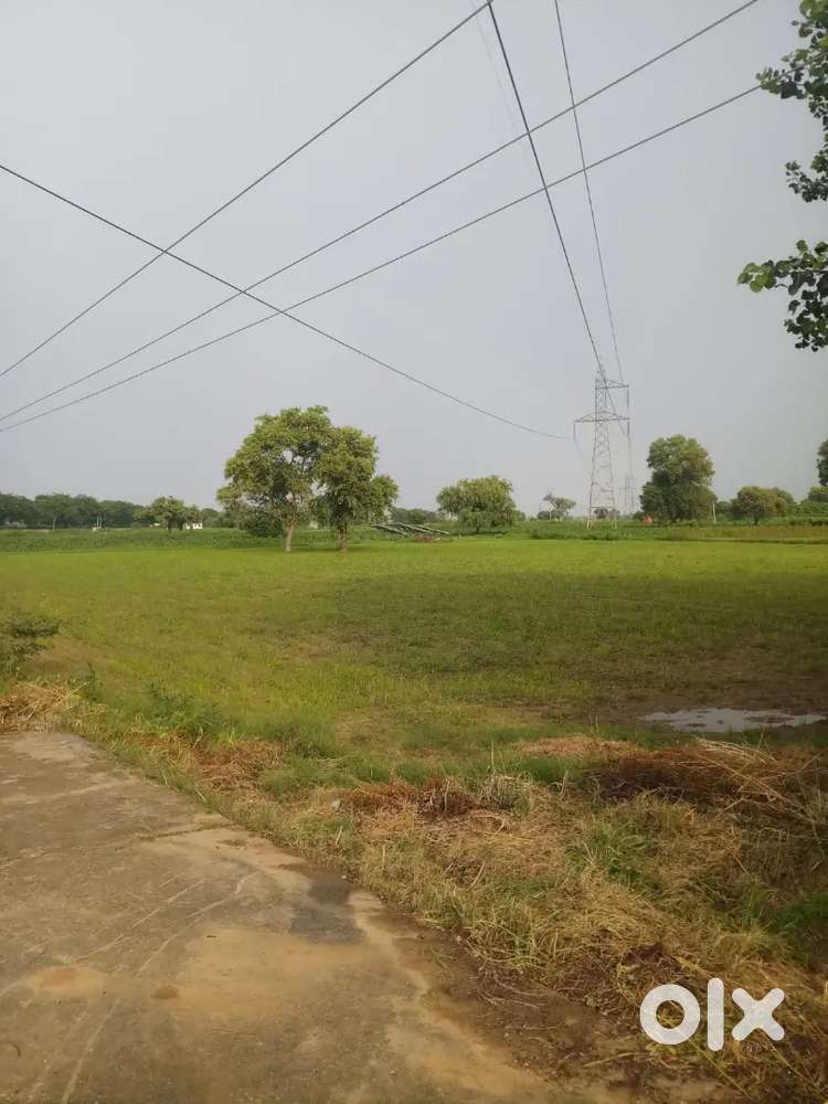 213 gaj ka plot sale karna hai profeser calony me