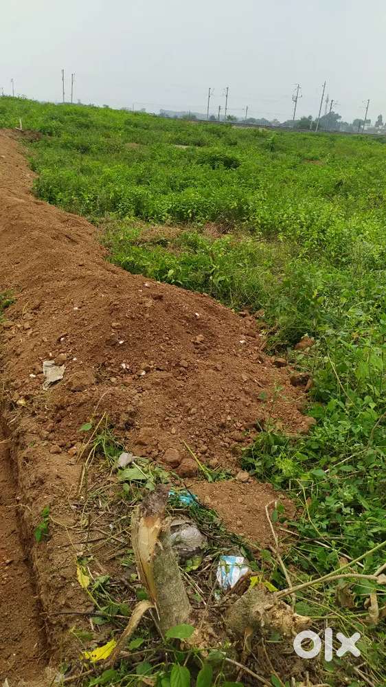 Best area for house and warehouse