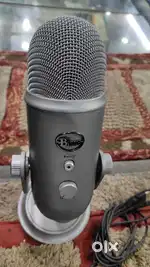 Two months old blue yeti usb mick