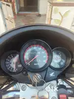 Unicorn bike