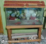 FISH TANK SALE