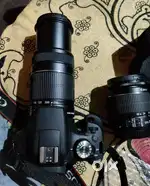 Canon 1500D with 250mm lens