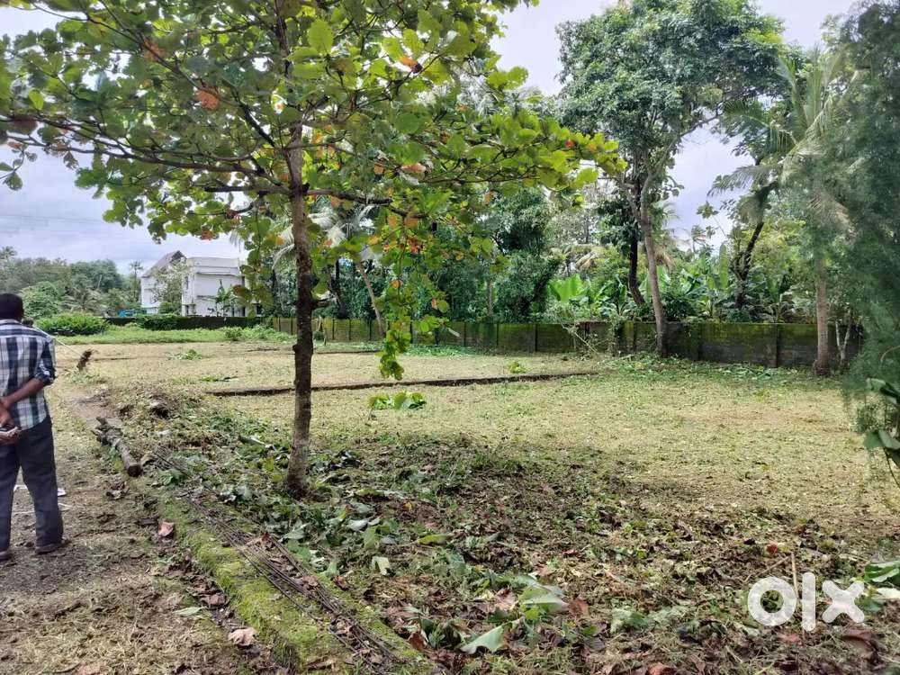 8 cent housing  plot near Cochin airport