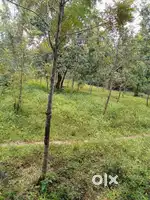 Farming land, 26 km from hassan