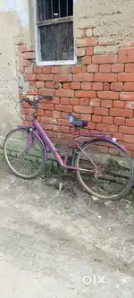 LEDIES CYCLE