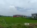 Agriculture land for sale