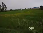 Agriculture land