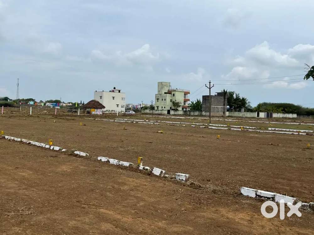 LOW BUDGET PLOTS FOR SALE