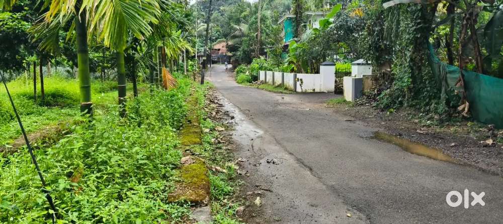 Kothamagalam - Chelad 20 Cent Residential house plot for sale