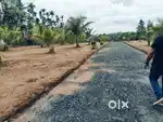 Sulthan bathery munsipality 3 km 10 cent house plot