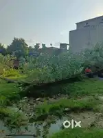 Khajanchi to fatima road behind rao MRI centre