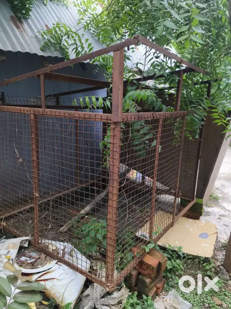 Dog cage..