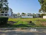 265 Sqyards Plot For Sale in Omaxe Phase 3 New Chandigarh.