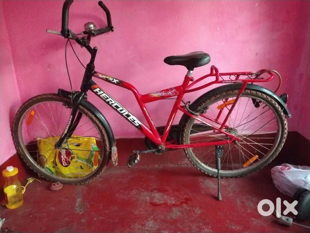 2019 model