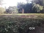 2 KOTHA LAND ON URGENT SELL , IN 5,00,000