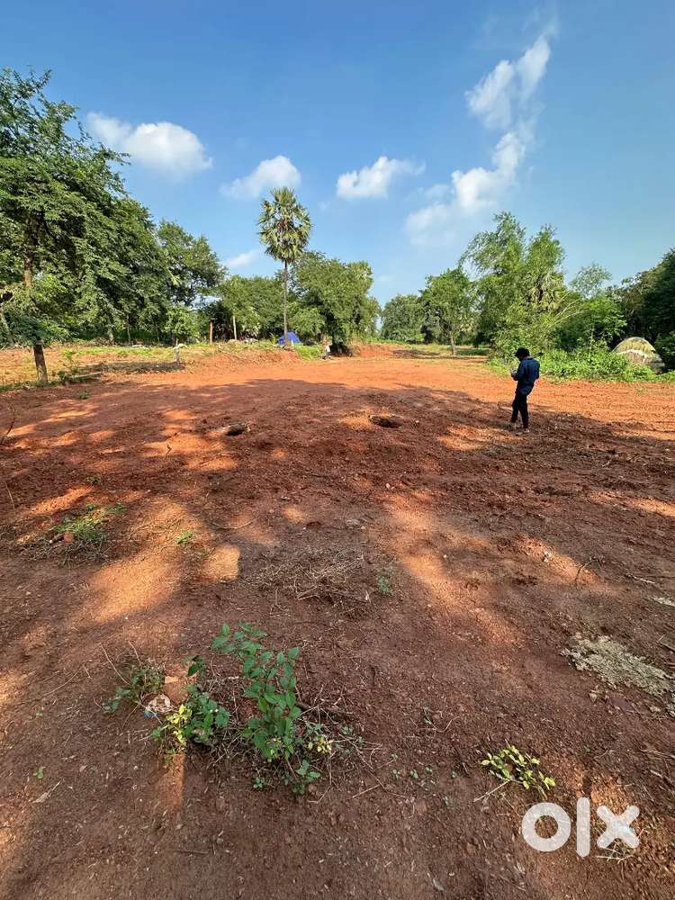 An excellent opportunity to own a spacious 90-cent plot of land.