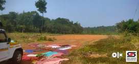 Plot for sale in Polpully, Palakkad