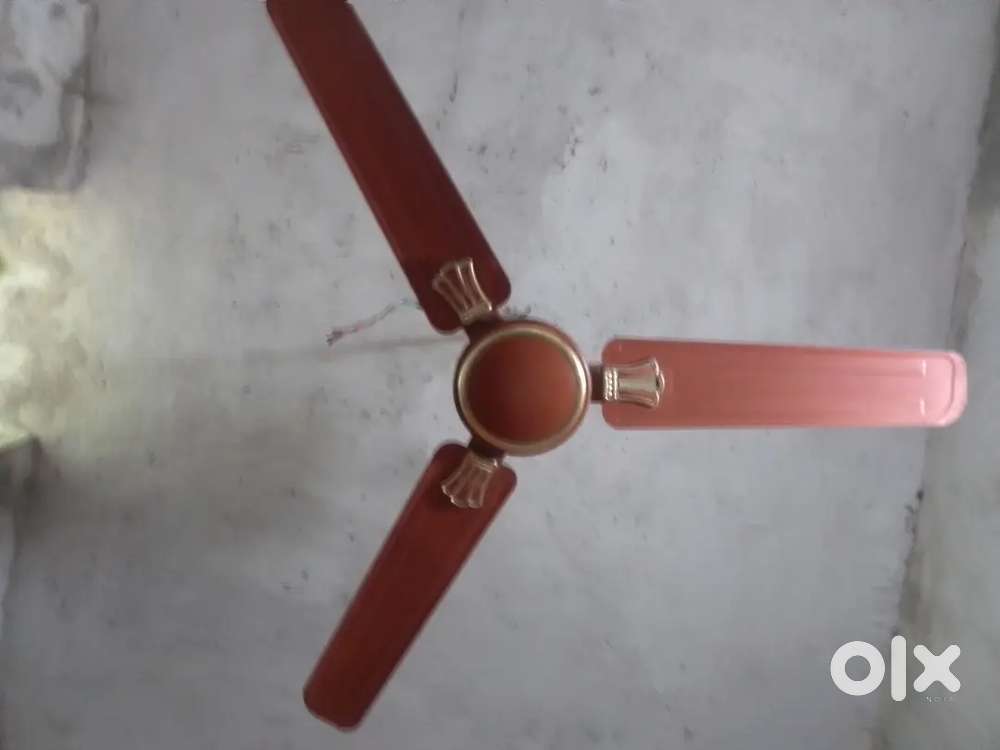 Ceiling fan In lower price