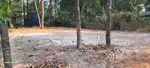 9 Cent plot തണ്ണീർമുക്കം മുട്ടത്തിപ്പറമ്പ് വീടുവെക്കാൻ അനുയോജ്യമായ