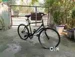 Maintained cycle