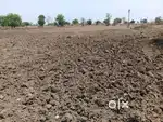 3-ACRE LAND FOR SALE AT DHOTRA CHAURASTA, HINGANGHAT ROAD