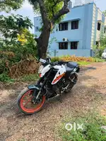 Duke 200 for sale