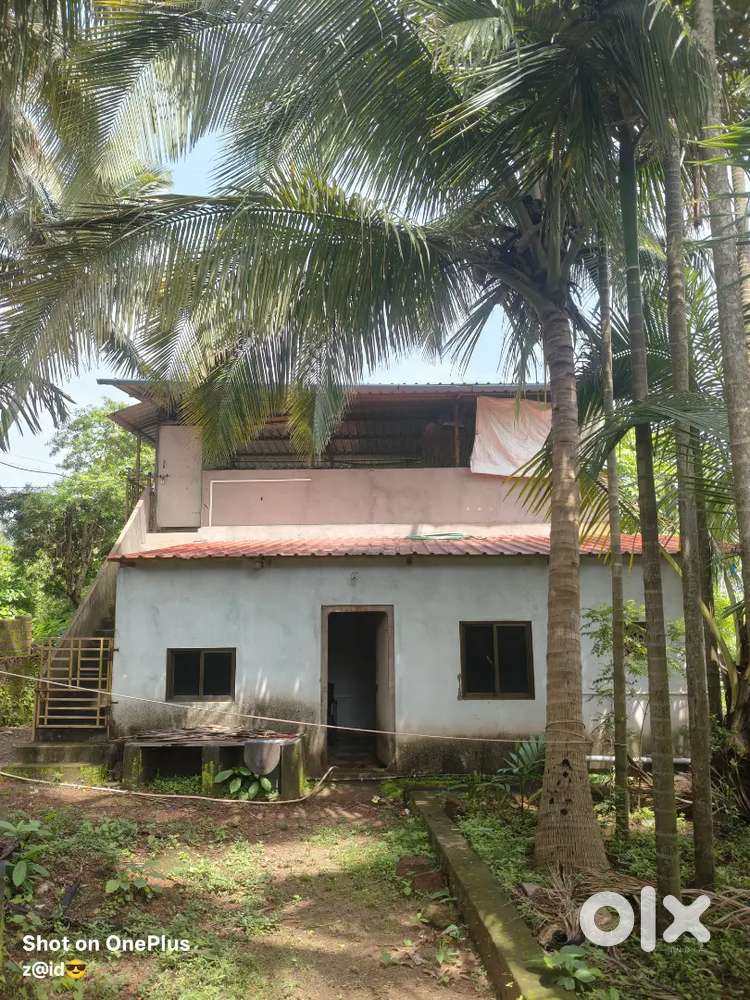 AVAILABLE  PROPERTY IN RENT BEHIND GUHAGAR SEA  FACE