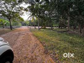 2400sqrfts dtcp approved farm house plots for sale in Chennai ECR rd.