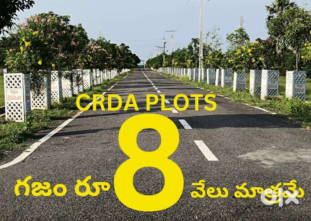 588 sqy Crda ప్లాట్ అమీనాబాద్ రోడ్