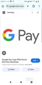 Need Team Leader for Gpay